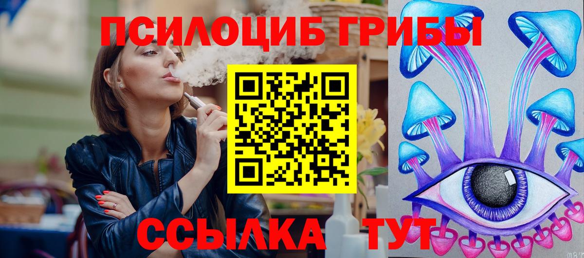 Галлюциногенные грибы Psilocybine cubensis Севастополь