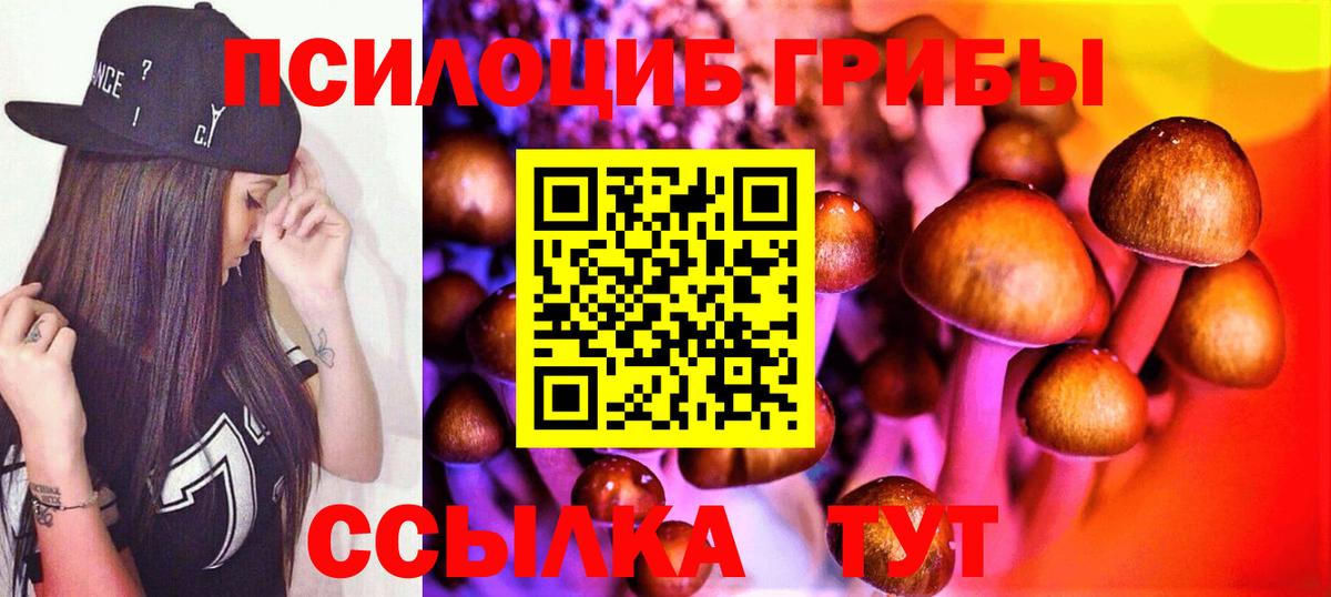 Галлюциногенные грибы Psilocybine cubensis  Вход с VPN  Севастополь 